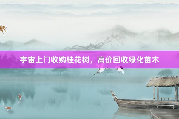 宇宙上门收购桂花树，高价回收绿化苗木