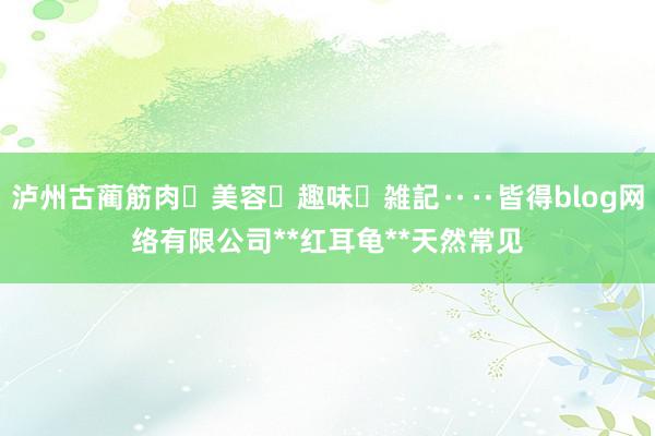 泸州古蔺筋肉・美容・趣味・雑記‥‥皆得blog网络有限公司**红耳龟**天然常见