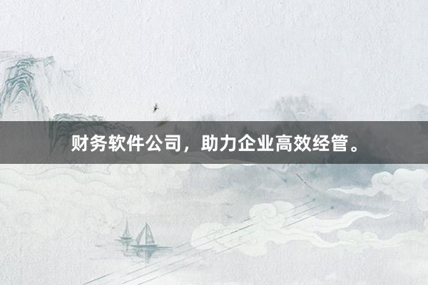 财务软件公司，助力企业高效经管。
